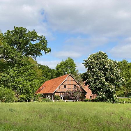 Ferienhaeuser Weitblick Gilten Eksteriør billede