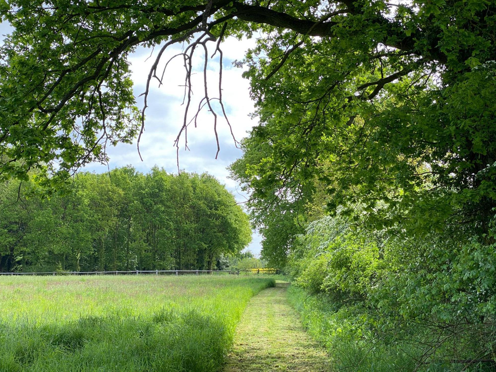 Ferienhaeuser Weitblick Gilten Eksteriør billede